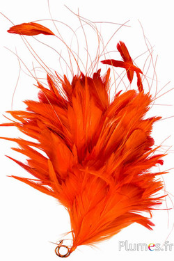 Pennacchio gallo - altezza 30 cm - arancioni-rosso
